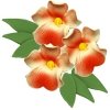 Zestaw CZERWONA MILTONIA z listkami