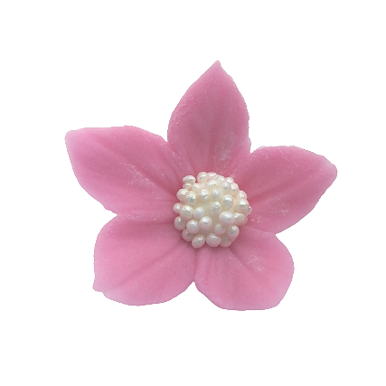  Płomyk wrzosowy opak. 8 x 10 szt.