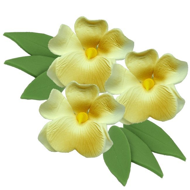 Zestaw ECRU MILTONIA z listkami