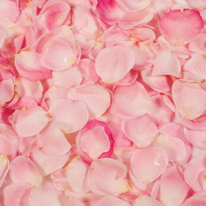 Naturalny aromat spożywczy RÓZANY róża 25g