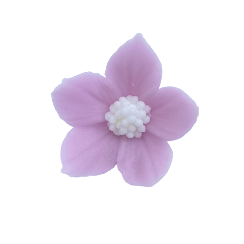 Płomyk lawendowy jasny10 szt.