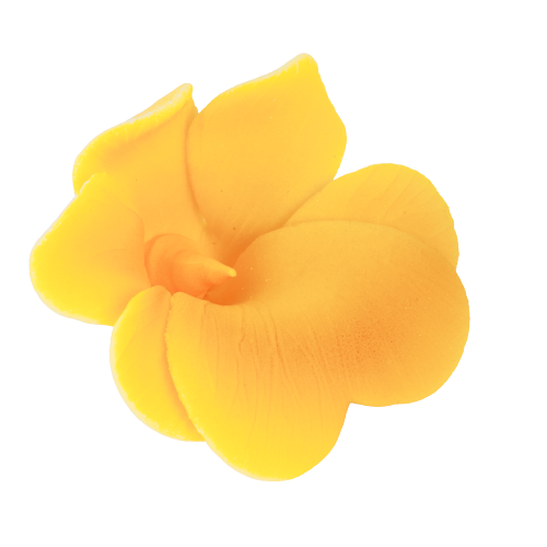 Miltonia kwiat cukrowy na tort 5cm żółty 1szt
