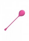 Kegel Training 2 Pcs Pink