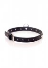 Fetish B - Series - Collar 2 cm silver crystal