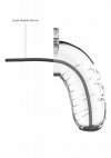 Model 16 - Chastity - 4.5 - Cock Cage - Transparent