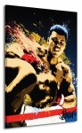 Obraz na płótnie - Muhammad Ali (Stung - Petruccio)