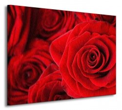 Czerwone róże - Obraz na płótnie