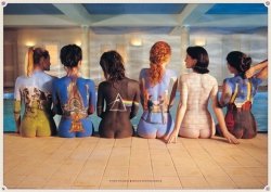 Pink Floyd (back) - plakat