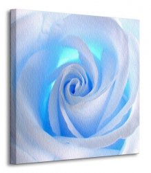 Niebieska róża - Obraz na płótnie