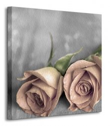 Samotne róże BW - Obraz na płótnie