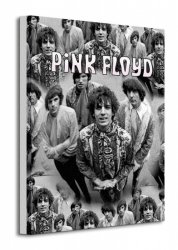 Obraz na płótnie - Pink FLoyd (Piper) - 30x40cm