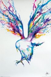 Kolorowy Ptak - plakat