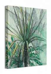 Obraz ścienny - Yucca - Jukka - 40x50 cm