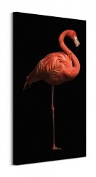 Flamingo I - obraz na płótnie
