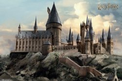 Harry Potter Hogwarts Day - plakat
