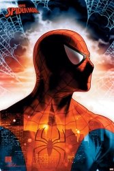 Spider-Man Protector Of The City - plakat