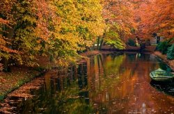 Fototapeta na ścianę  - Jeziorko w lesie, jesień - 175x115 cm