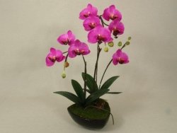 Sztuczny storczyk - Orchidea - W doniczce - 40x62cm - Amarantowy