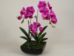 Sztuczny storczyk - Orchidea - W doniczce - 46x66cm 