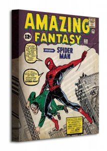 Spider-Man (Issue 1) - Obraz na płótnie