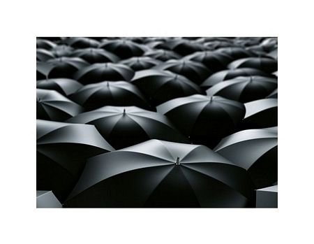 sea of umbrellas - reprodukcja