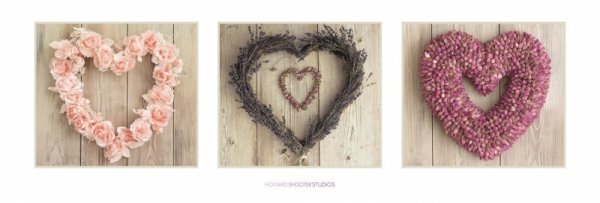 Howard Shooter (Love Hearts) - plakat