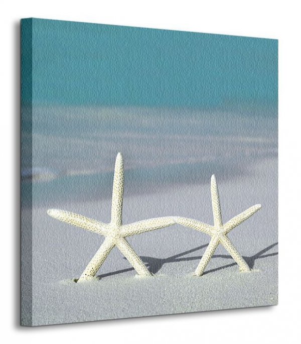Rozgwiazdy na plazy - Obraz na płótnie