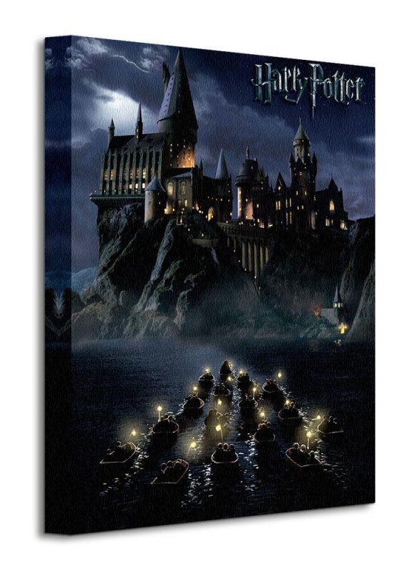 Obraz na płótnie  Harry Potter (Hogwarts School) - 30x40 cm