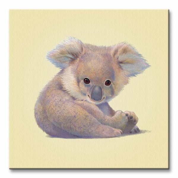 Obraz na płótnie - Koala - 40x40 cm