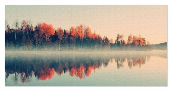 Forest Reflections - Obraz na płótnie