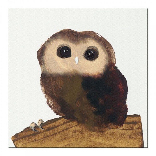 Little Owl - Obraz na płótnie