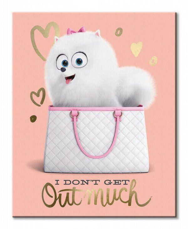 The Secret Life Of Pets (I Don&#039;T Get Out Much) - Obraz na płótnie