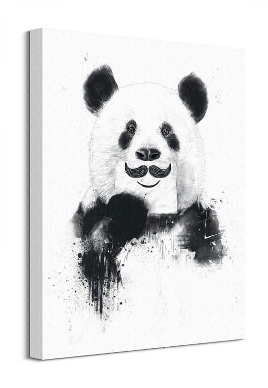 Funny Panda - Obraz na płótnie