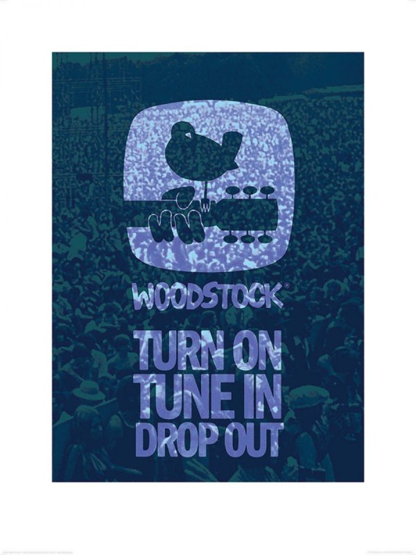 Reprodukcja - Woodstock Drop Out - decoart24.pl