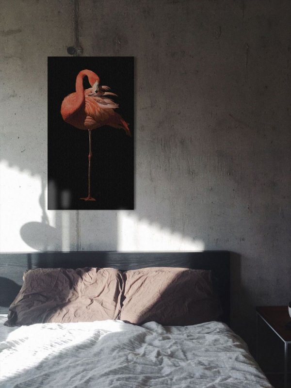 Flamingo II - obraz na płótnie