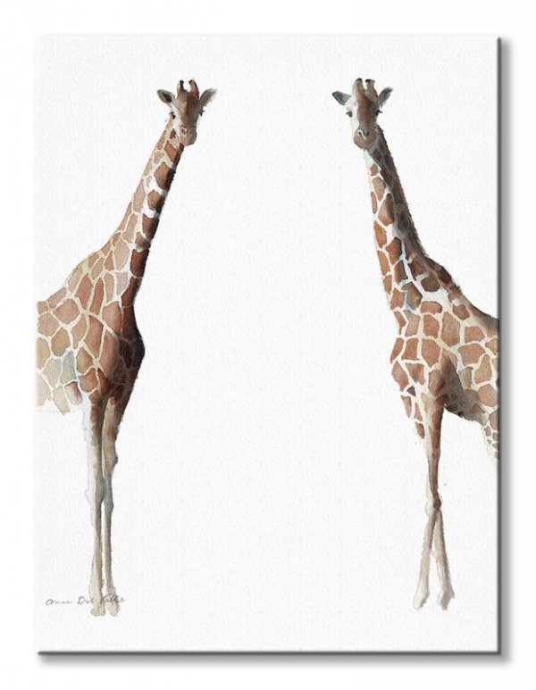 Stojące żyrafy - obraz na płótnie