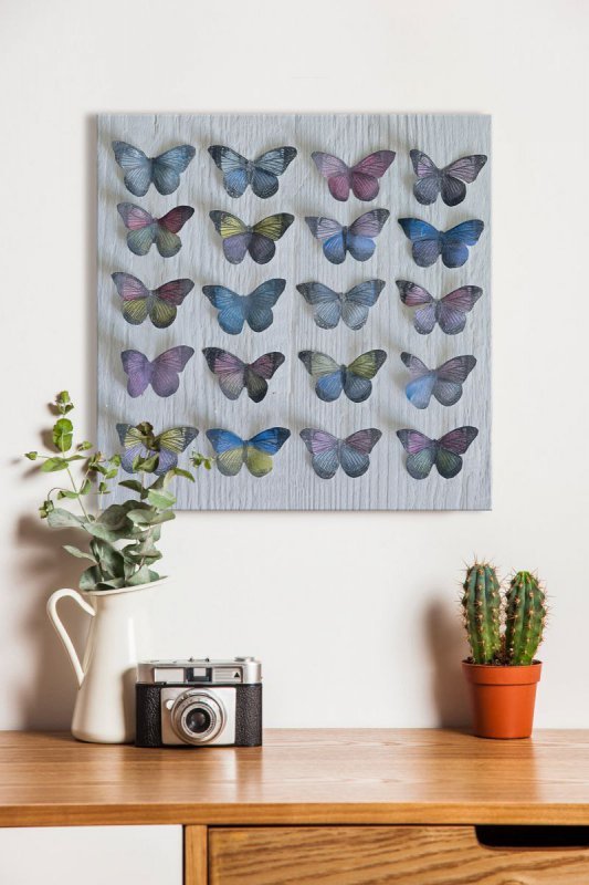 Kolekcja motyli - obraz na płótnie