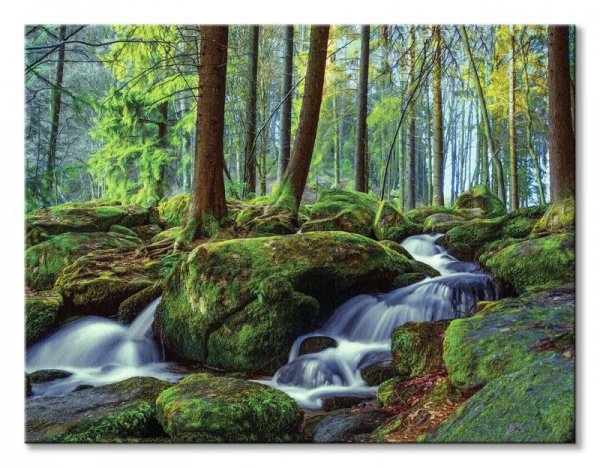 Leśny Wodospad - obraz na płótnie