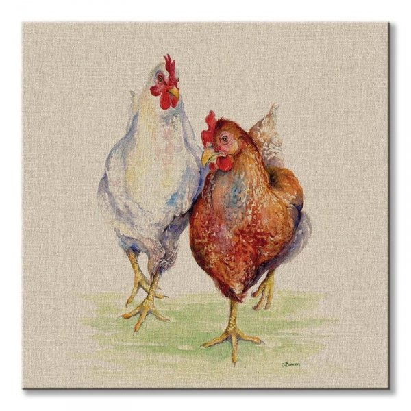 Dwie kury - obraz na płótnie