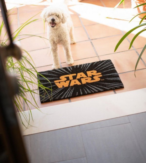 Star Wars Logo - wycieraczka