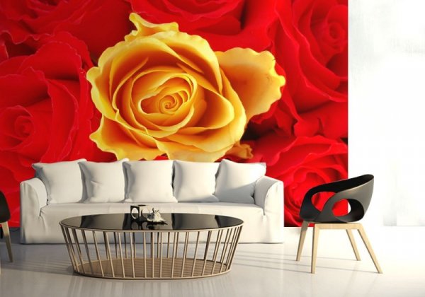 Fototapeta Czerwone i żółte róże - 254x183 cm - decoart24