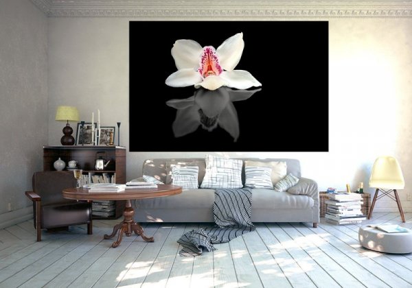 Fototapeta ścienna - Biała Orchidea - 175x115 cm