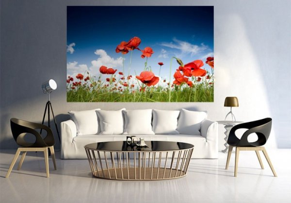 Fototapeta na ścianę - Pole maków - 75x115 cm