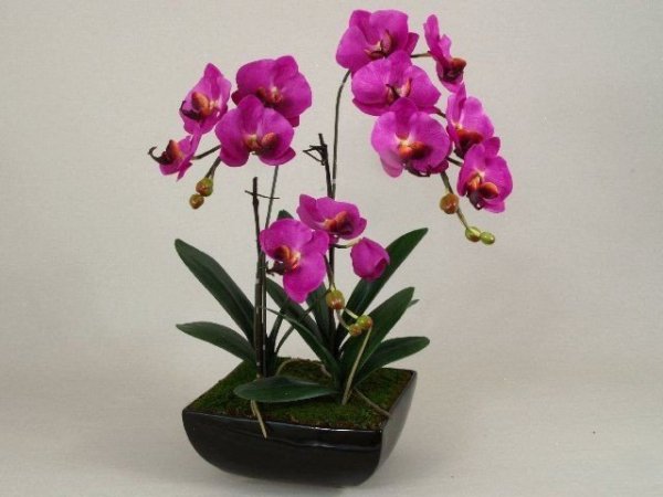 Sztuczny storczyk - Orchidea - W doniczce - Sklep decoart24.pl