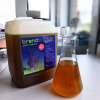 BRANDON+ GASTRO BALSAM Micelarny balsam ochronny dla koni z wrzodami żołądka