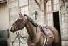 KENTUCKY VELVET Czaprak skokowy PONY