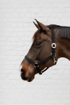 KENTUCKY NYLON HALTER Nylonowy kantar dla konia