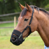 SHIRES EQUESTRIAN FREE GRAZE Kaganiec dla konia gumowy