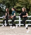 WALDHAUSEN HOBBY HORSE 