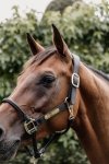 *KENTUCKY ANATOMIC HALTER Anatomiczny kantar ze skóry syntetycznej dla koni